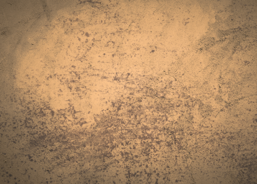 Preview: Ich wusste, dass der Tag hässlich wird, aber mit dir hatte ich nicht gerechnet.  - Softshellpaneel Tasche